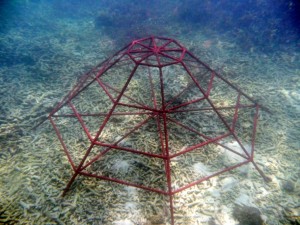 image014