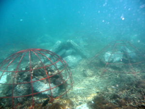 image019