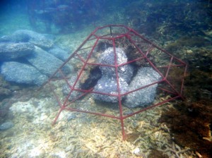 image020