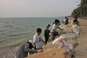 IMG_7966_modifié-1