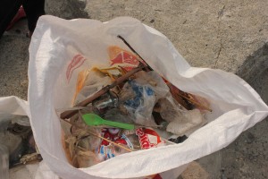 IMG_8026_modifié-1